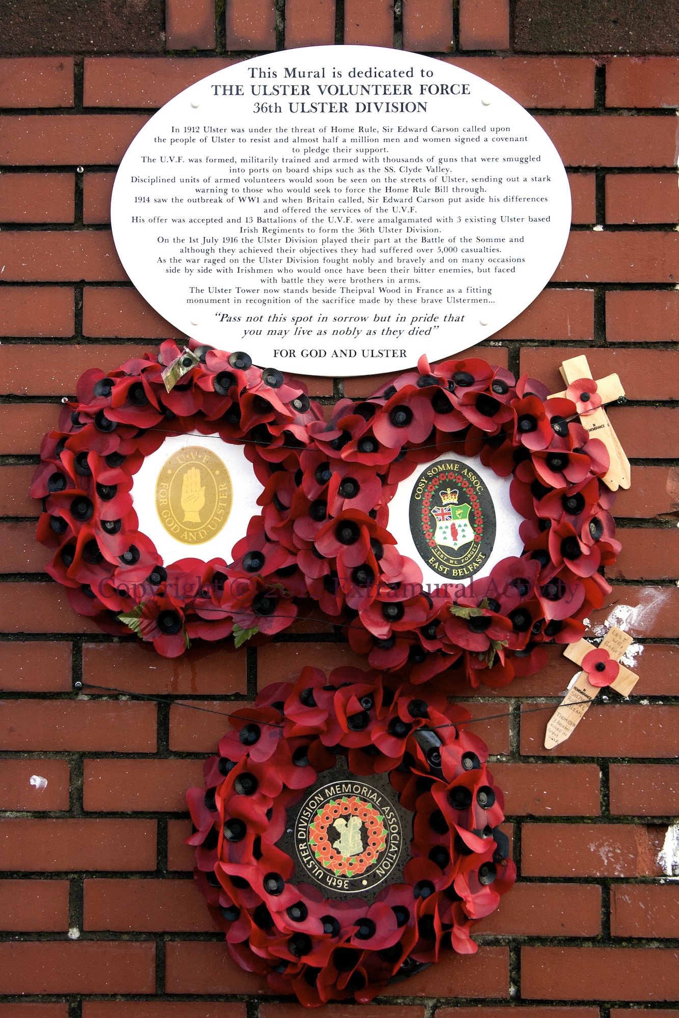 2012-12-30 CarlingfordWreathes+