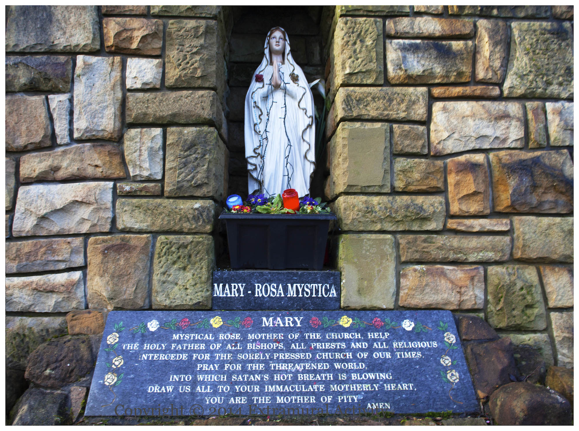 2014-01-27 RosaMystica+