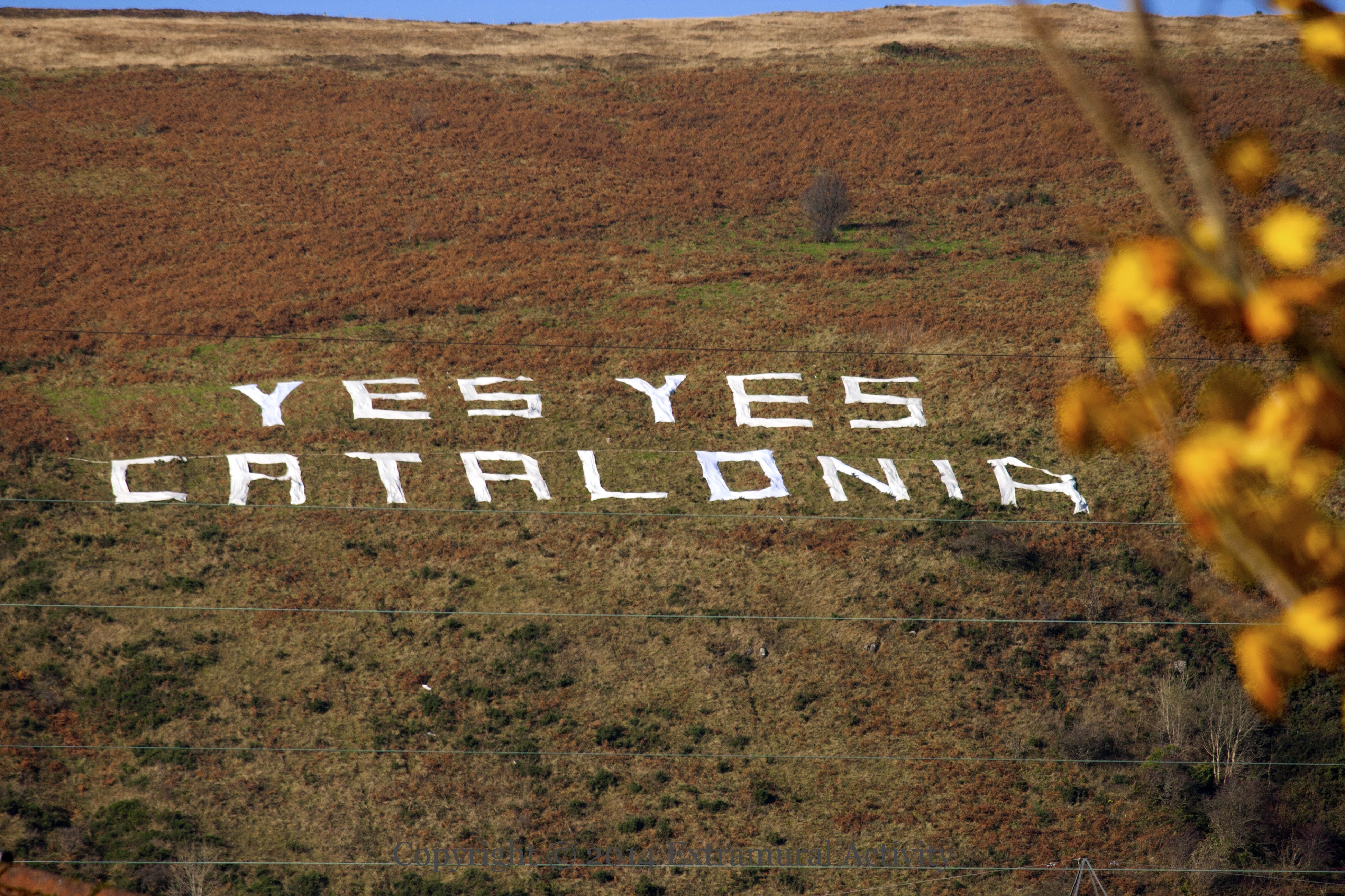 2014-11-07 YesCatalonia3+
