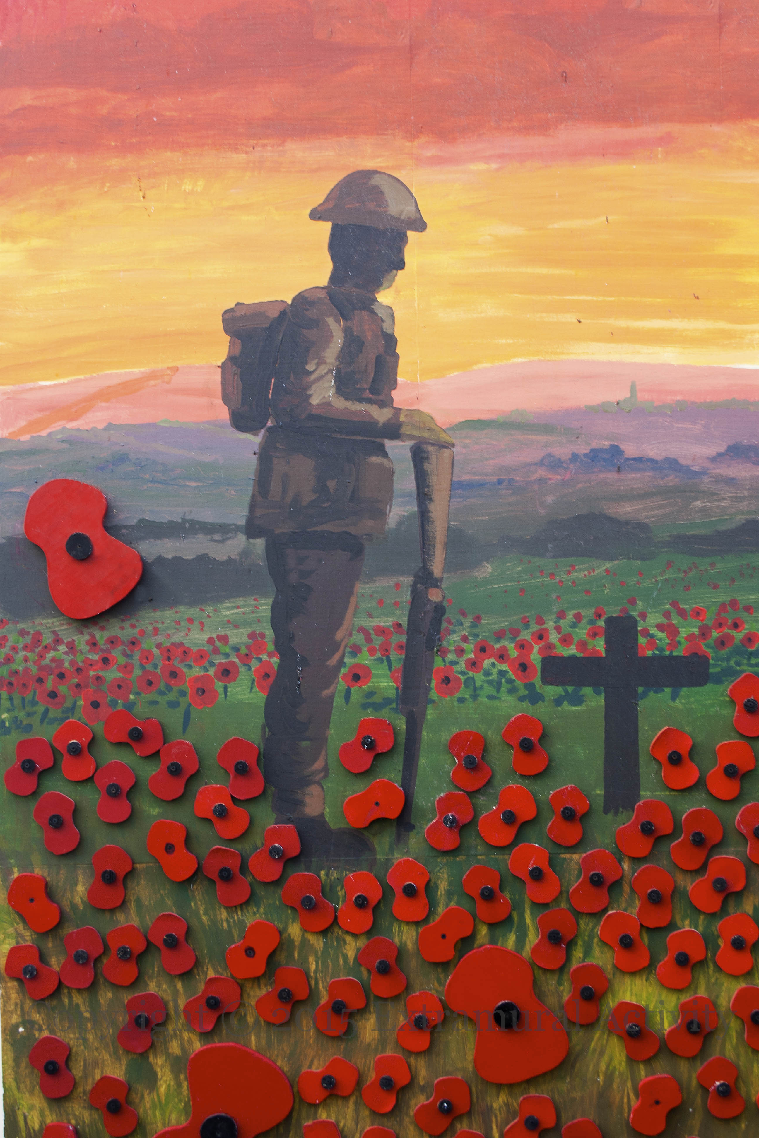 2015-02-06 CFergusPoppies+