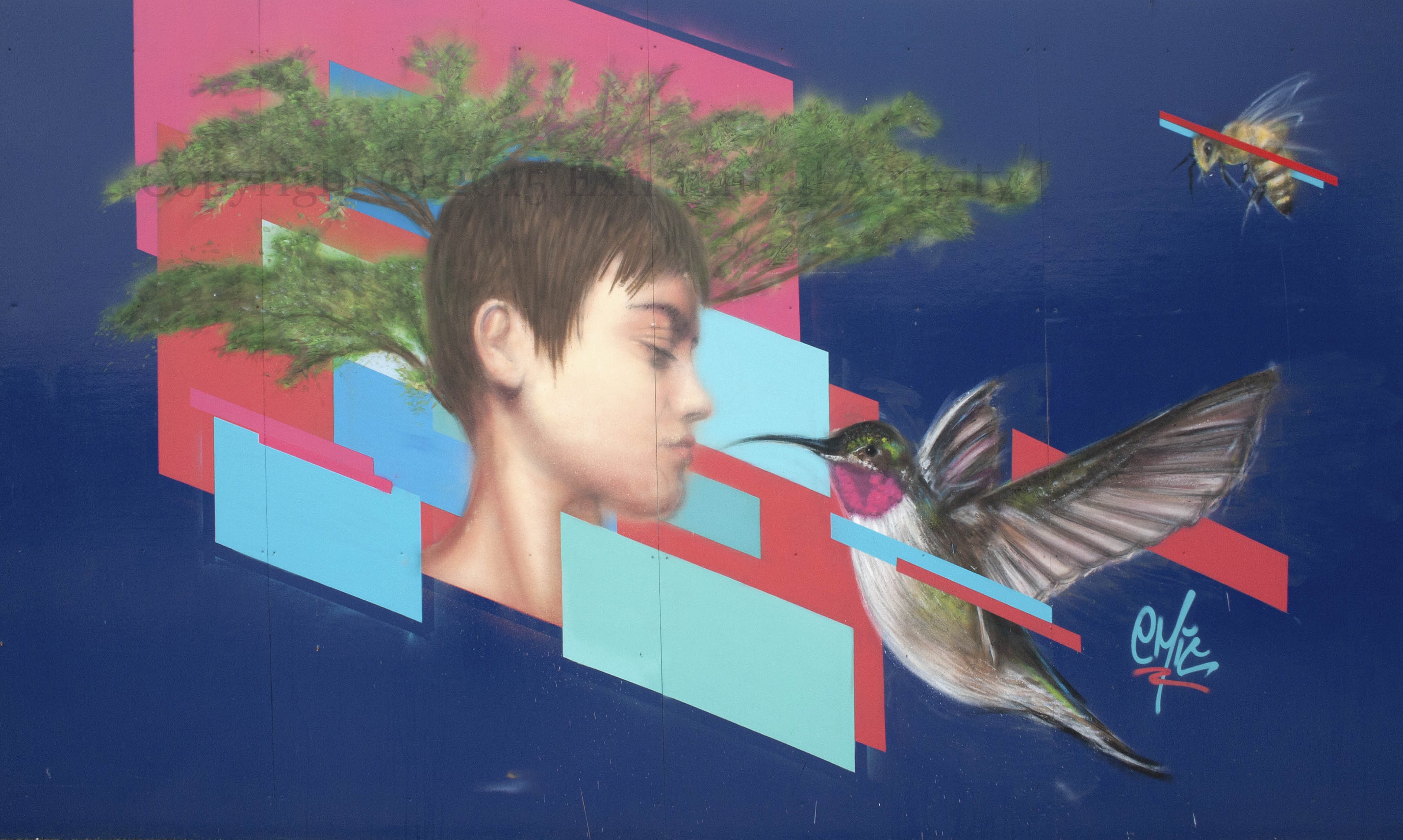 03095 2015-10-04 Emic CNB15 Boy Bird Bee+