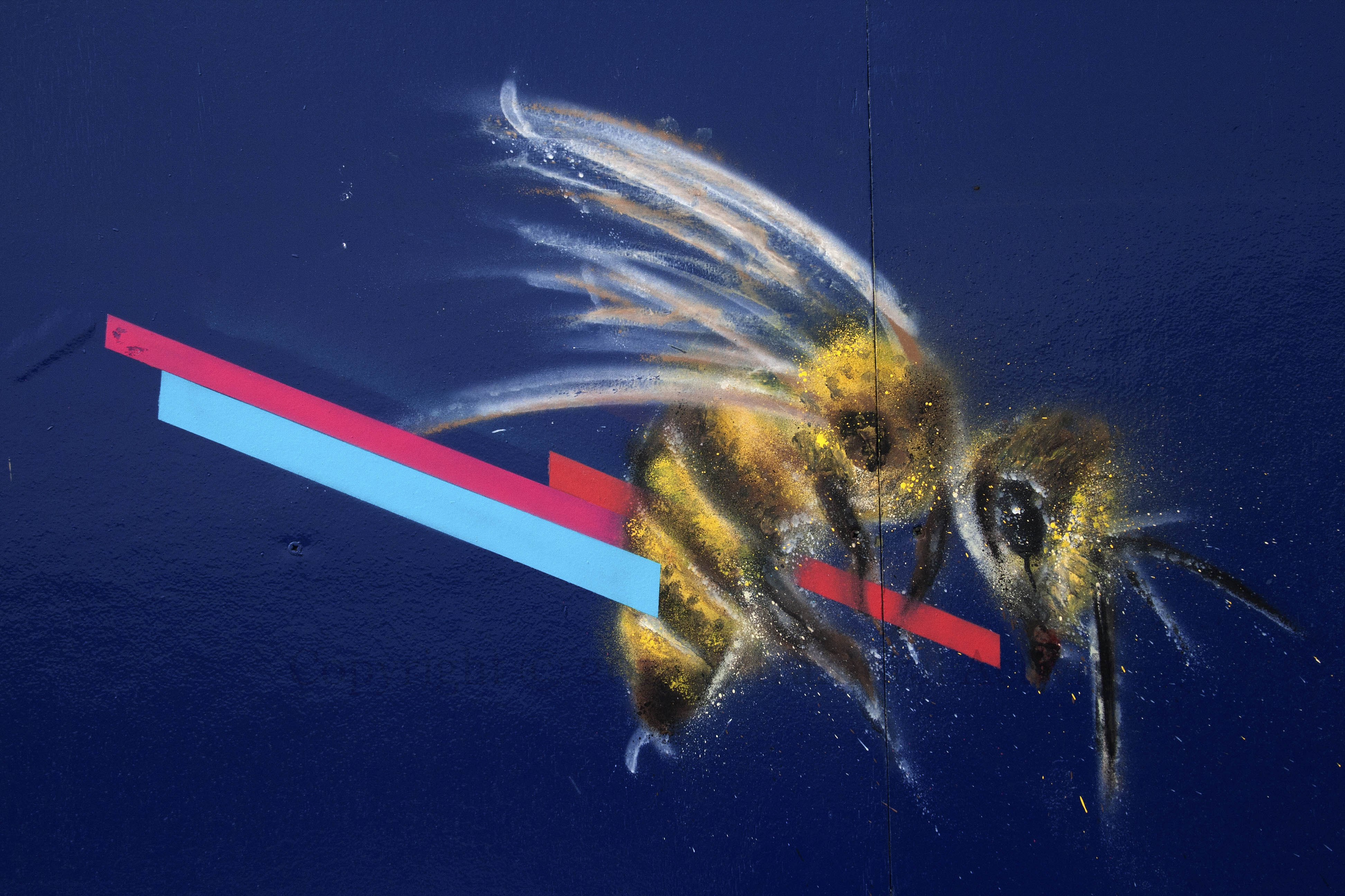 03096 2015-10-04 Emic CNB15 Bee+