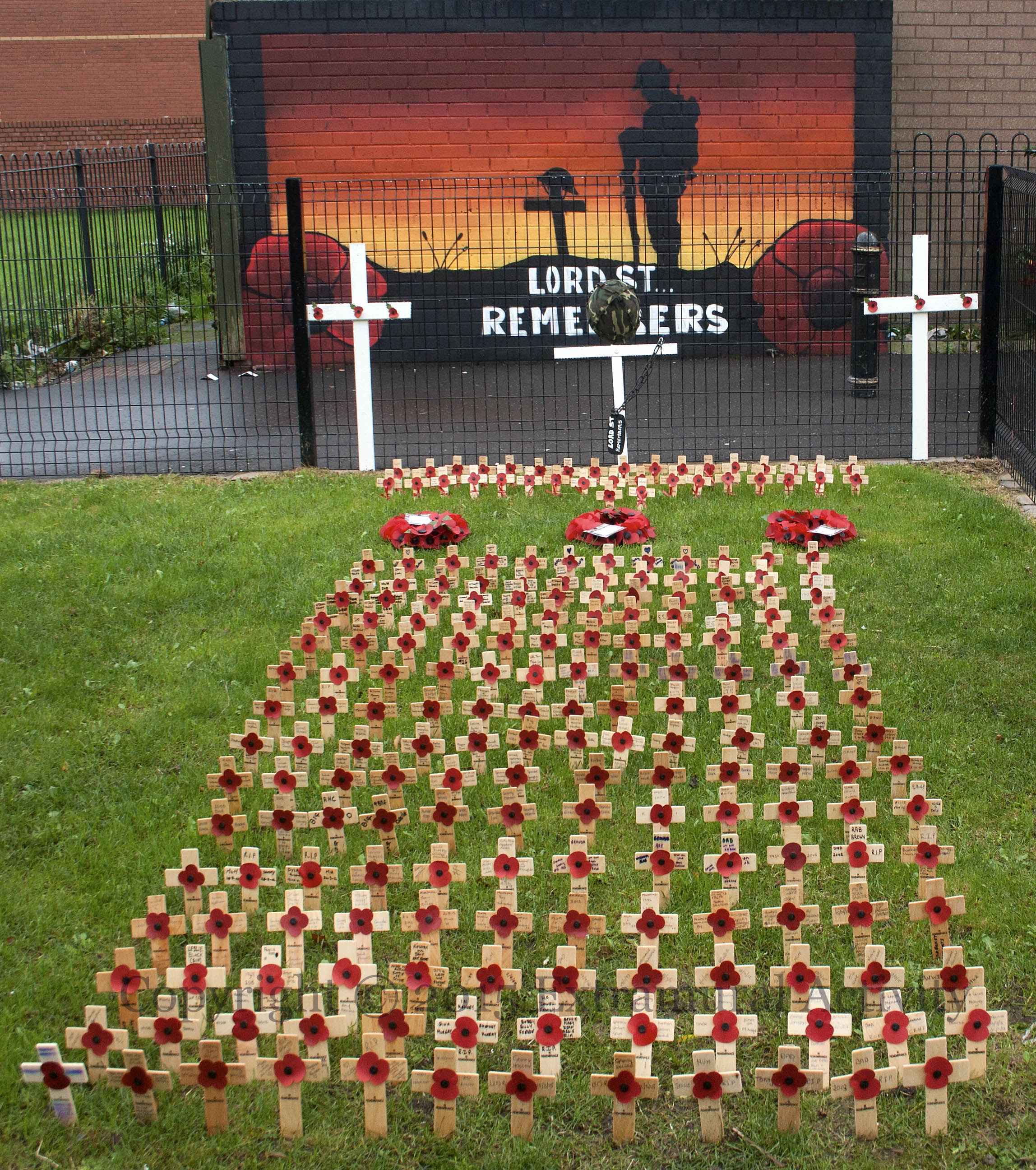 03165 2015-11-11 Lord St Remembers+