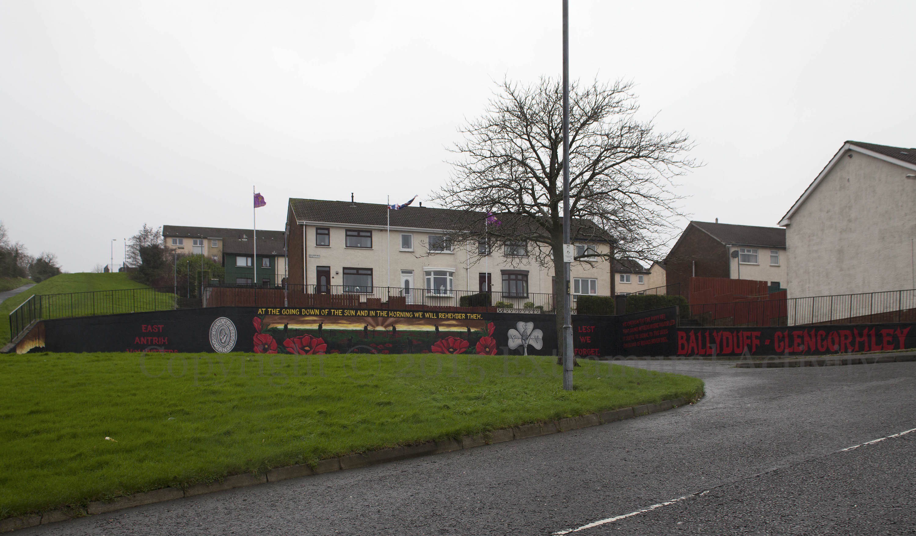 03240 2015-12-30 We Cherish Too w+