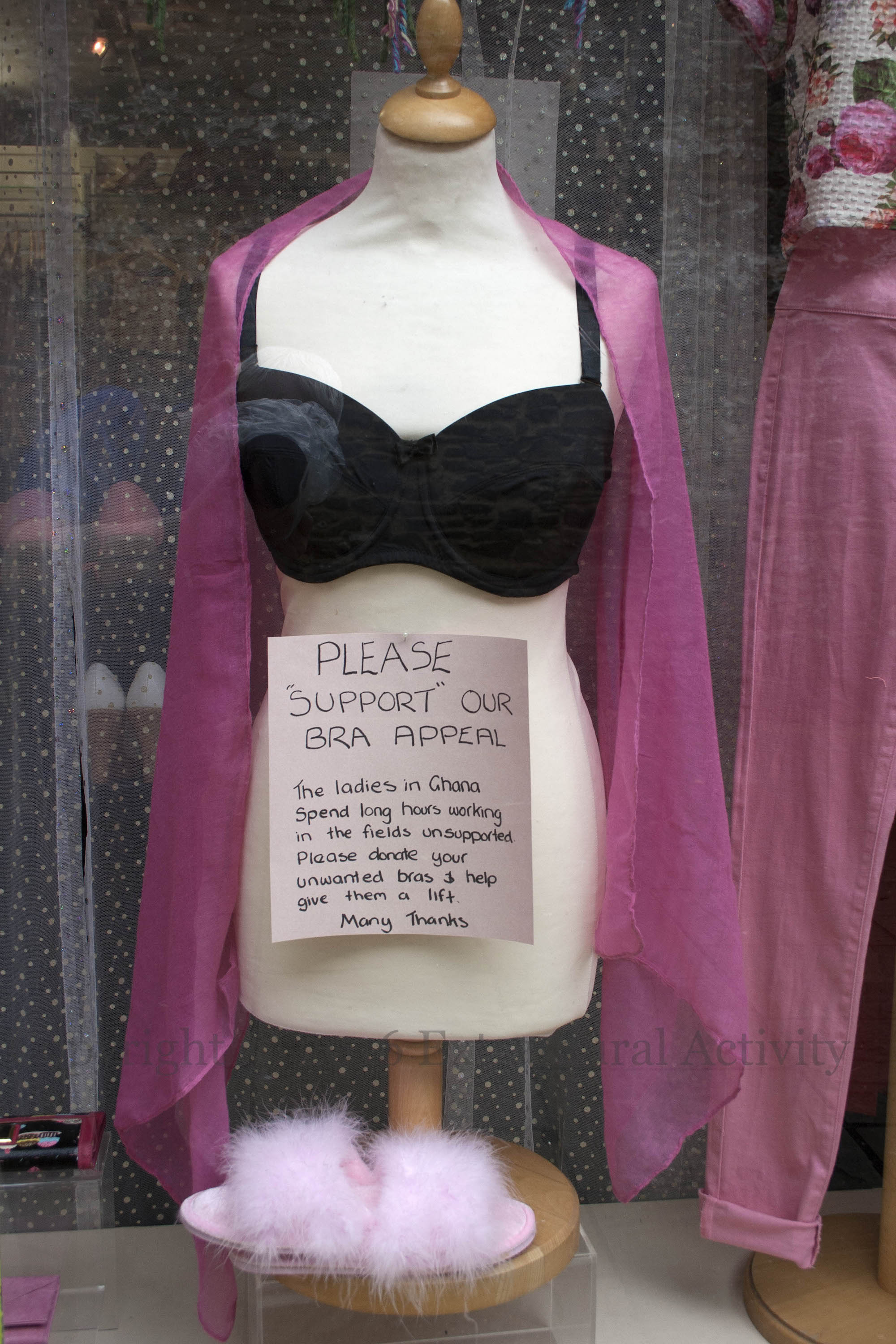 03678-2016-07-24-give-them-a-lift