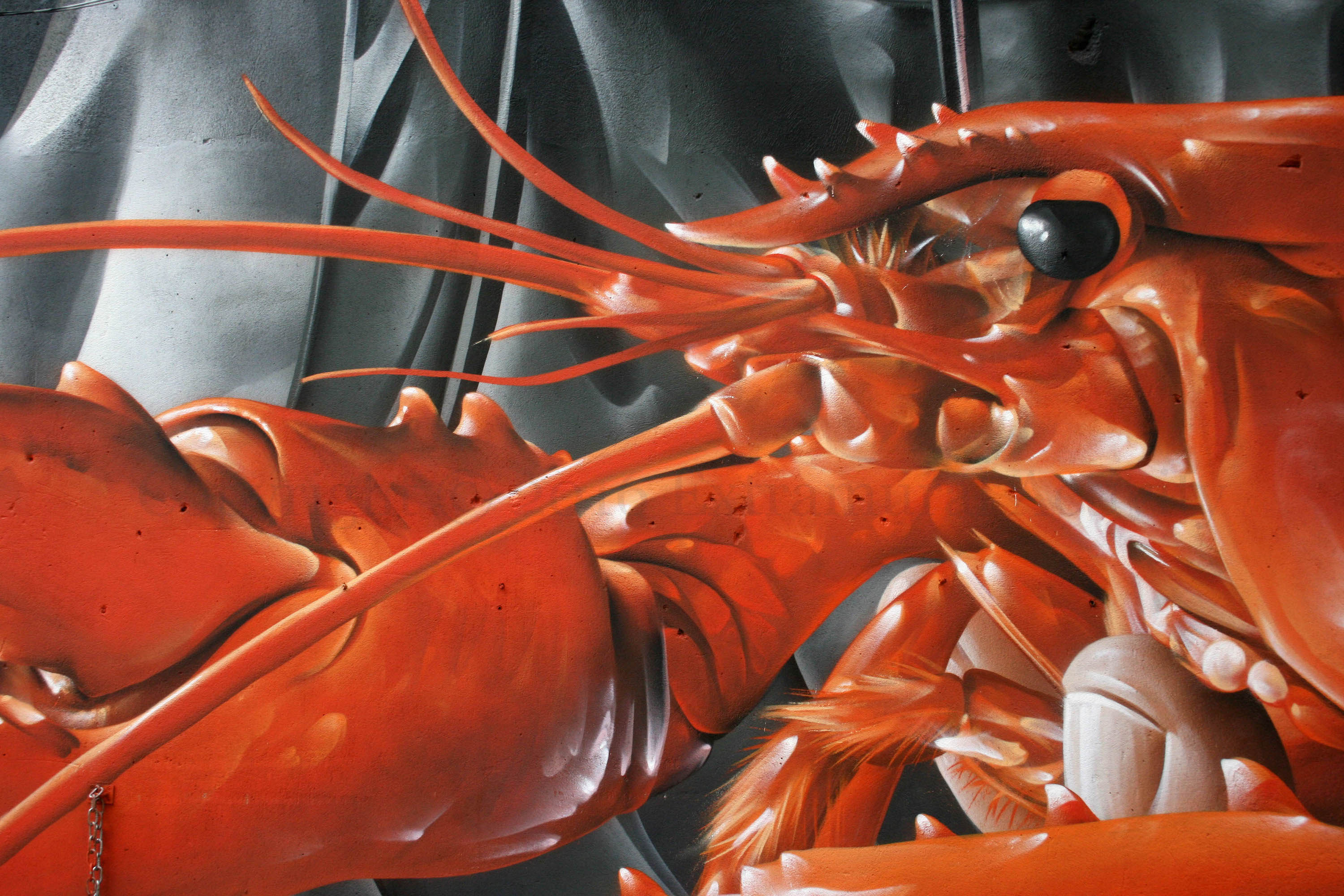 03882-2016-10-04-cnb-smug-d