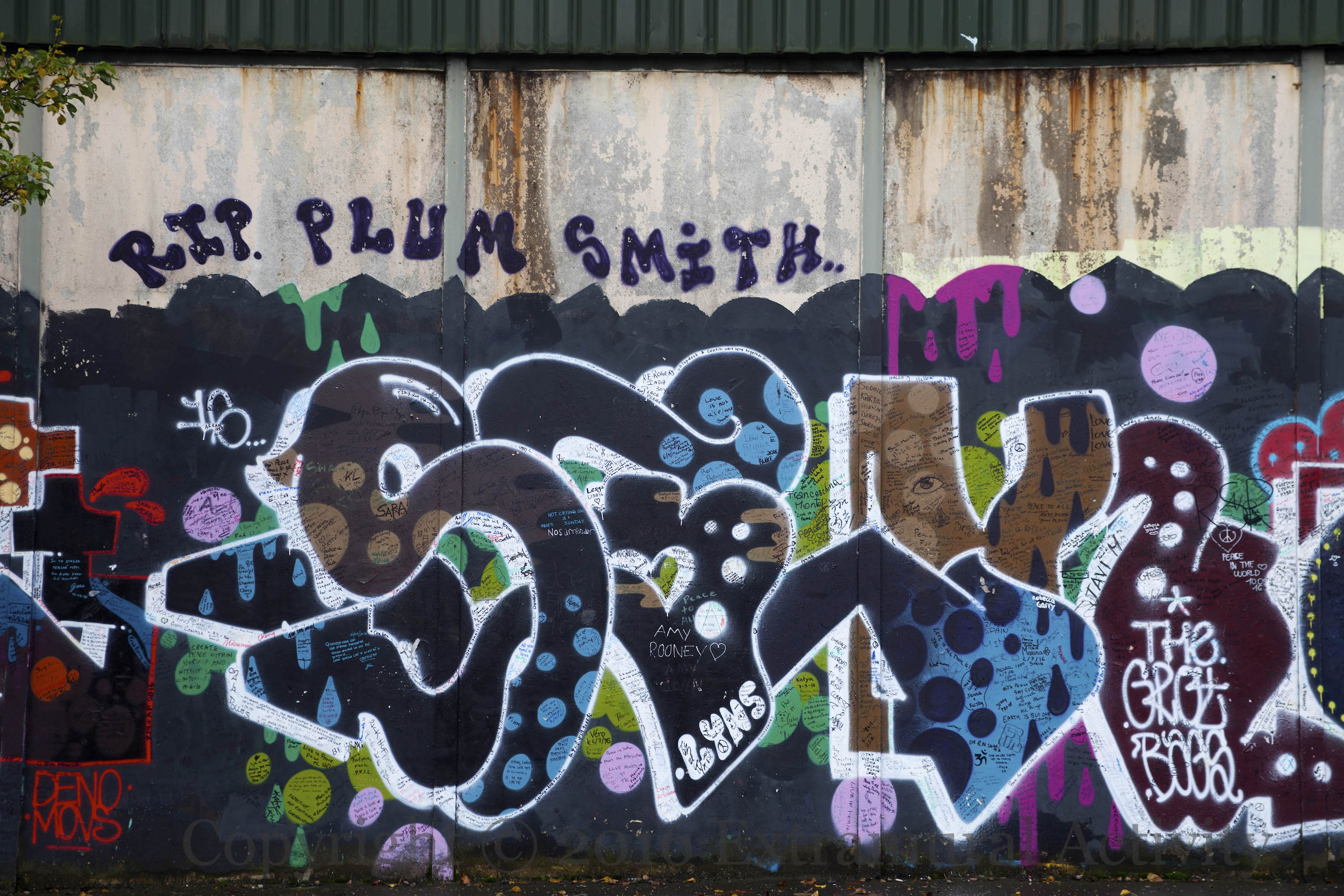 03946-2016-11-17-plum-smith