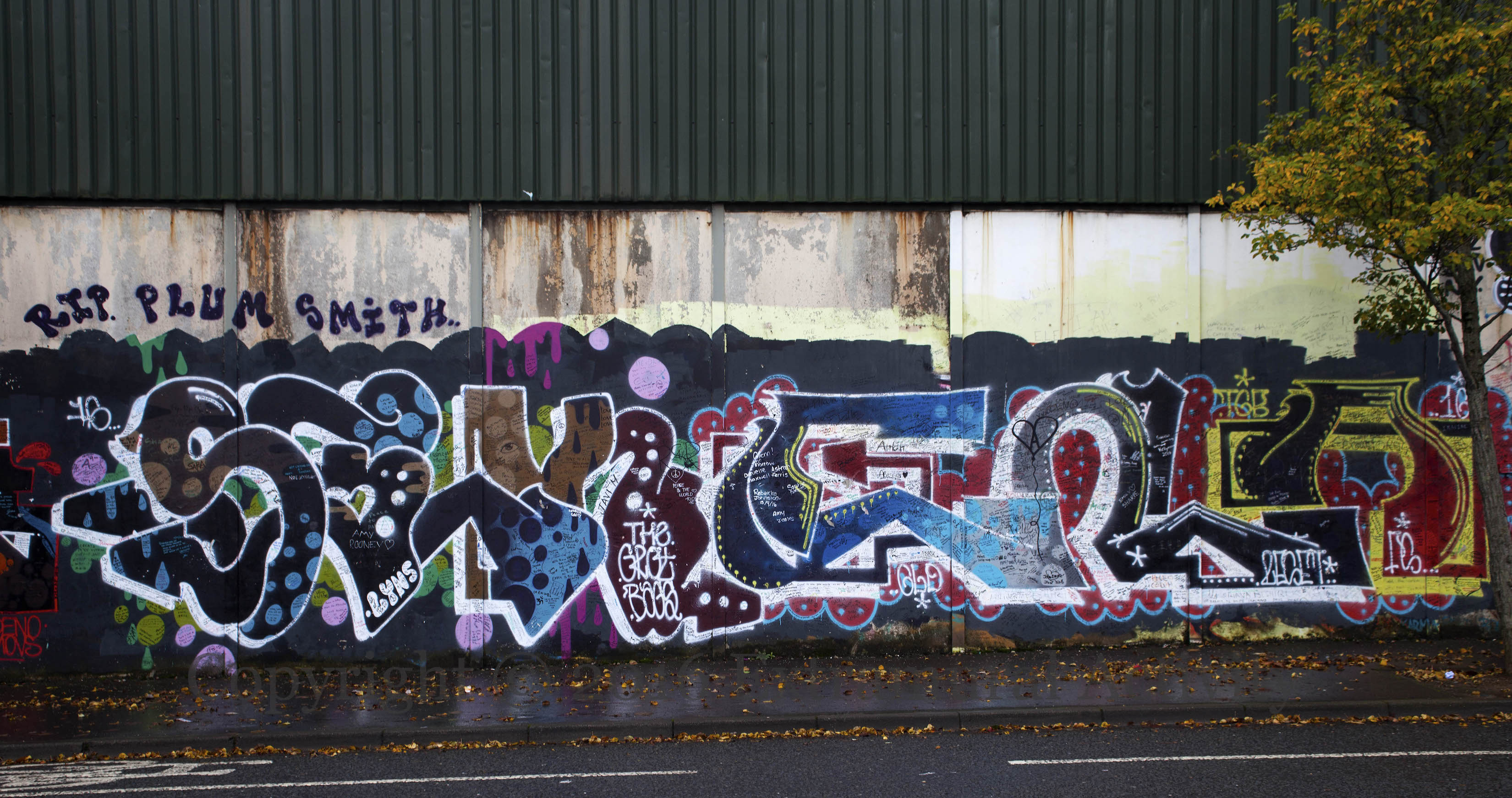 03947-2016-11-17-plum-smith-w