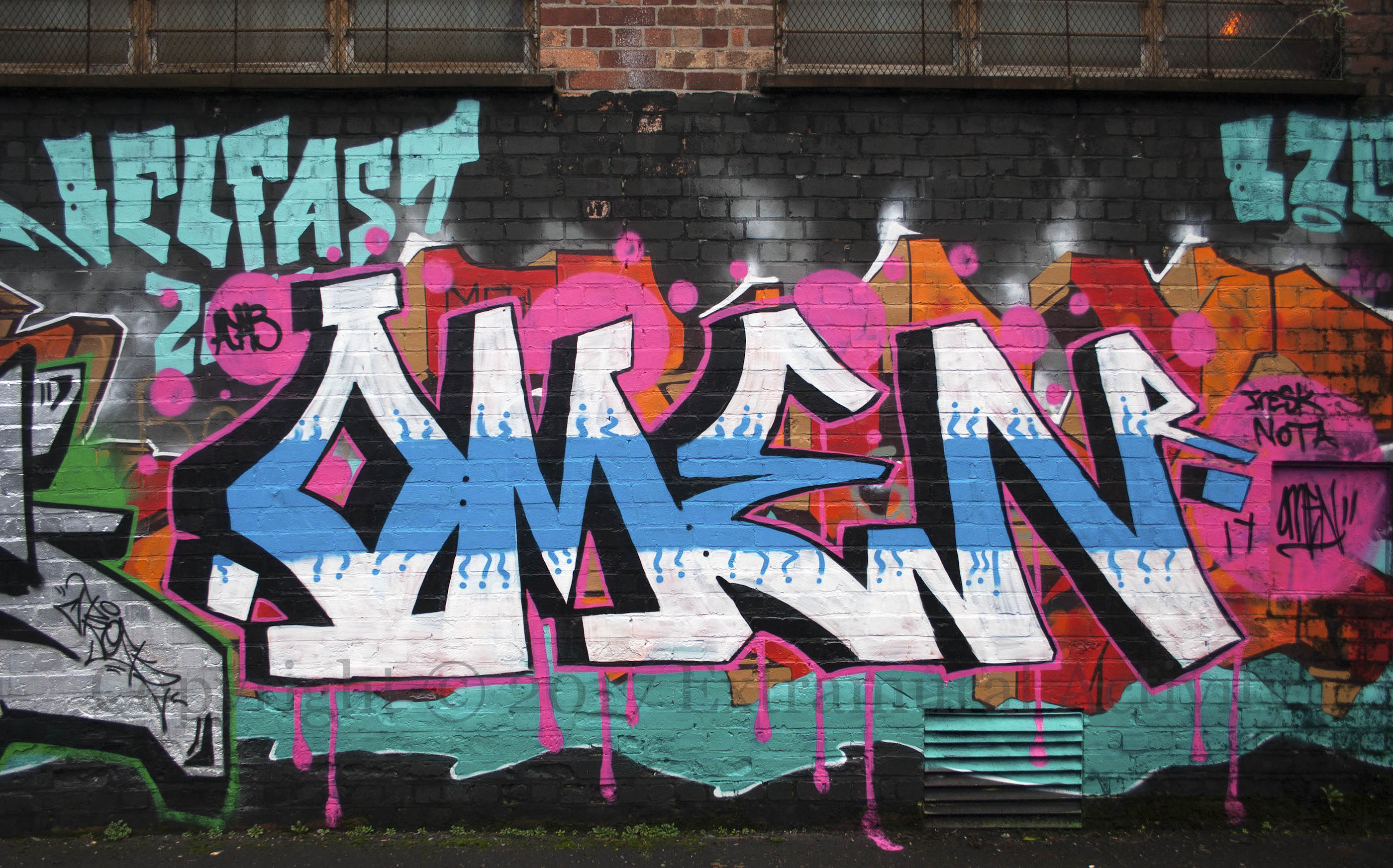 03994-2017-01-09-belfast-omen